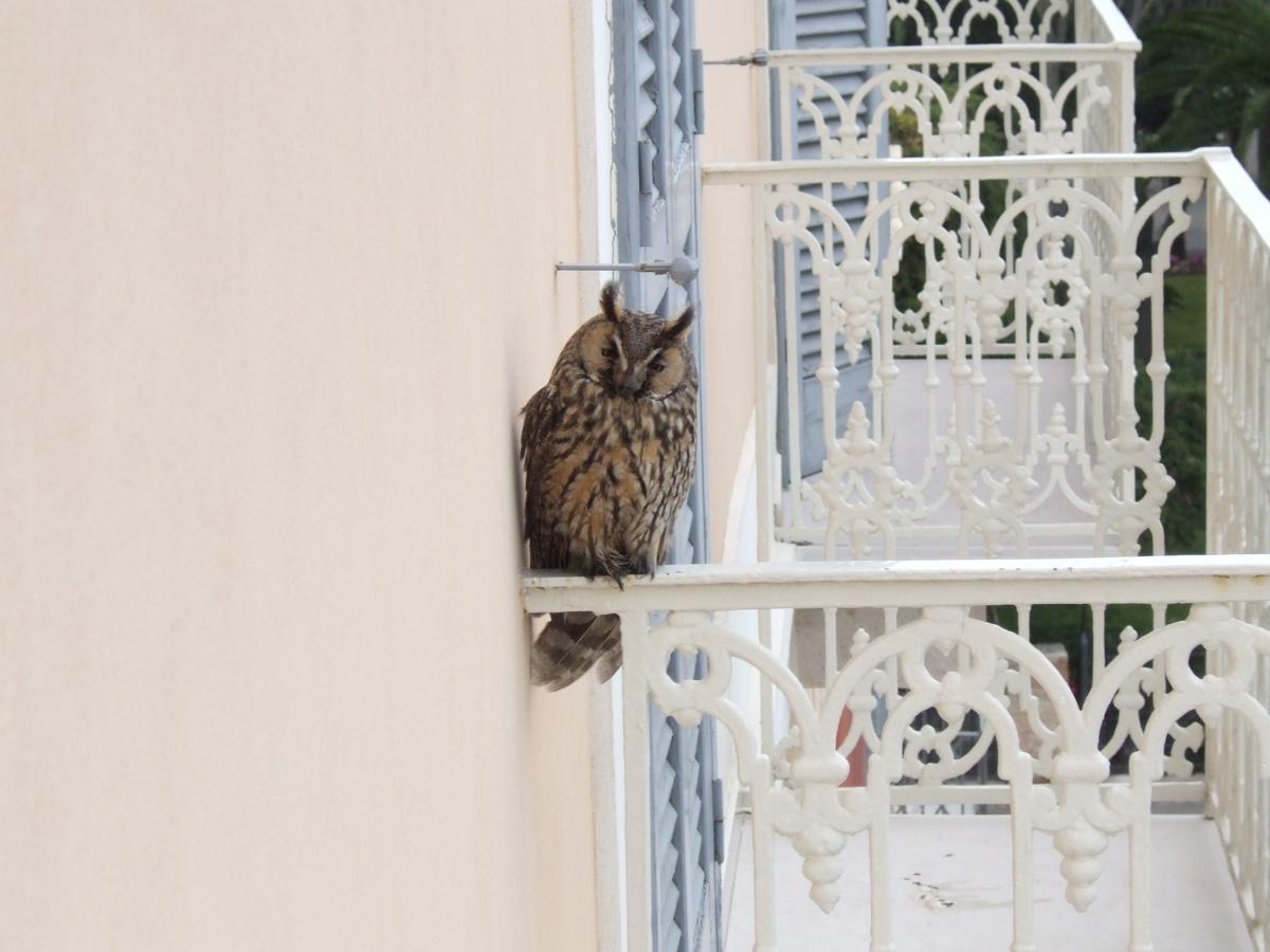 Albergo Lucy Trani Bagian luar foto